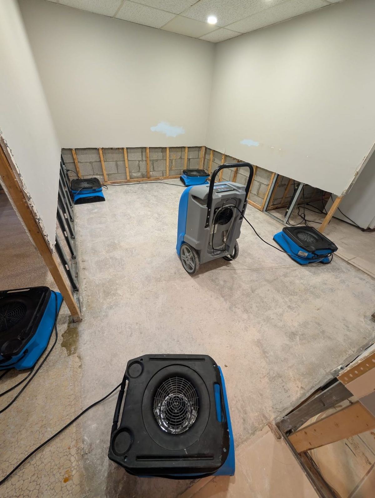 Air movers and a dehumidifier drying a flood-cut basement in Toronto