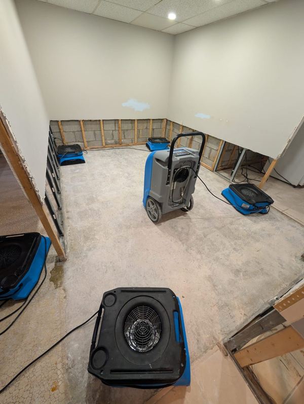 Air movers and a dehumidifier drying a flood-cut basement in Toronto