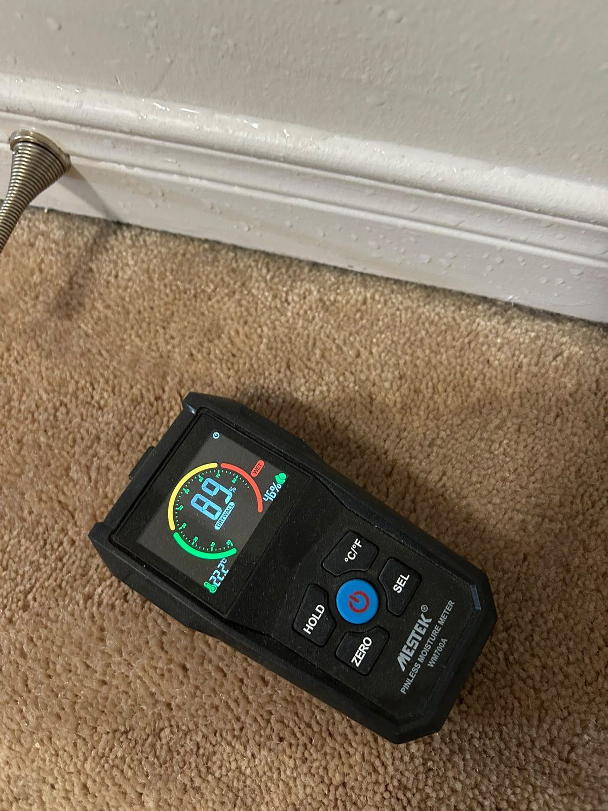 Moisture meter checking wet carpet during drying