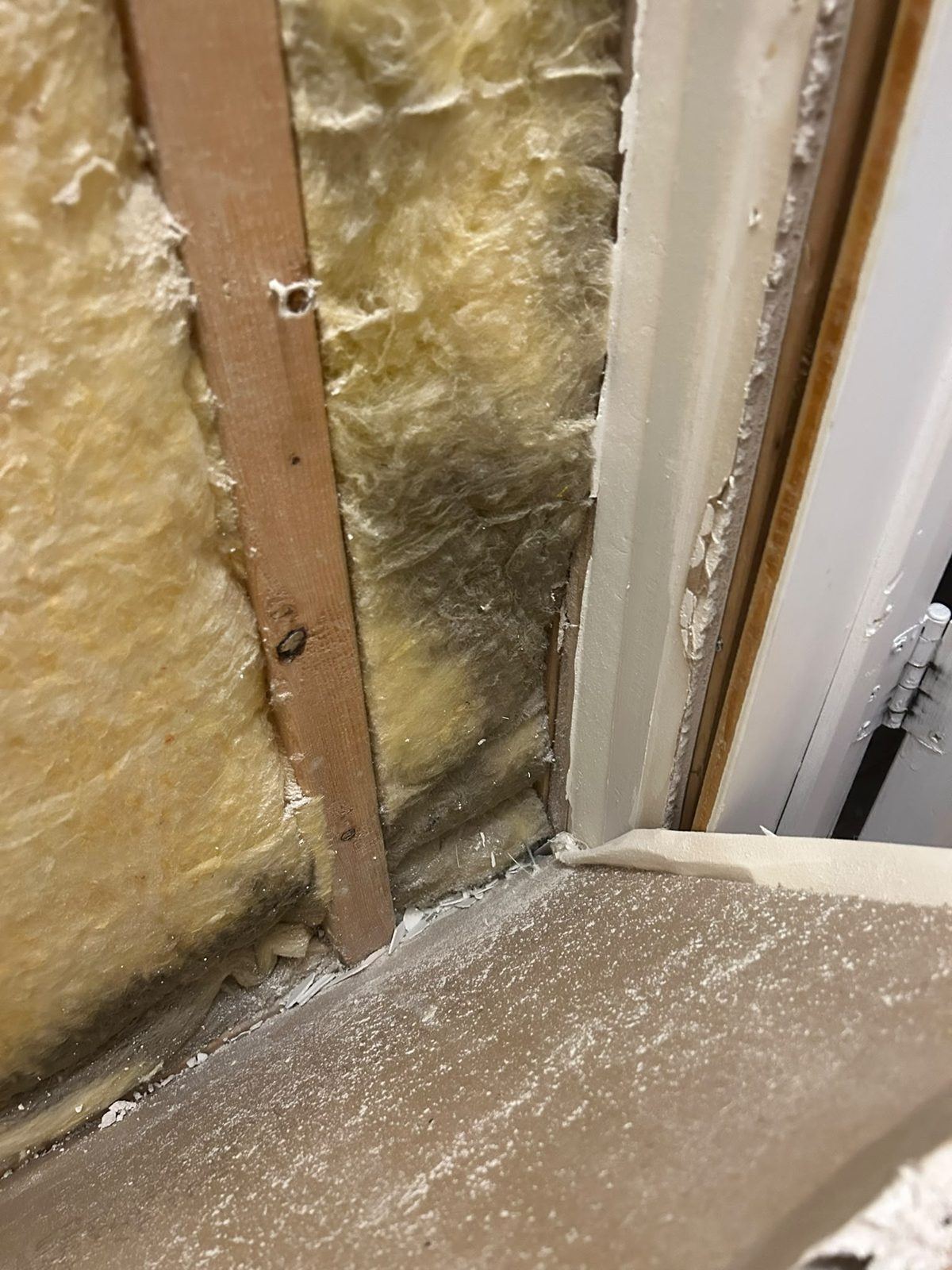 Mold on insulation and framing found behind drywall