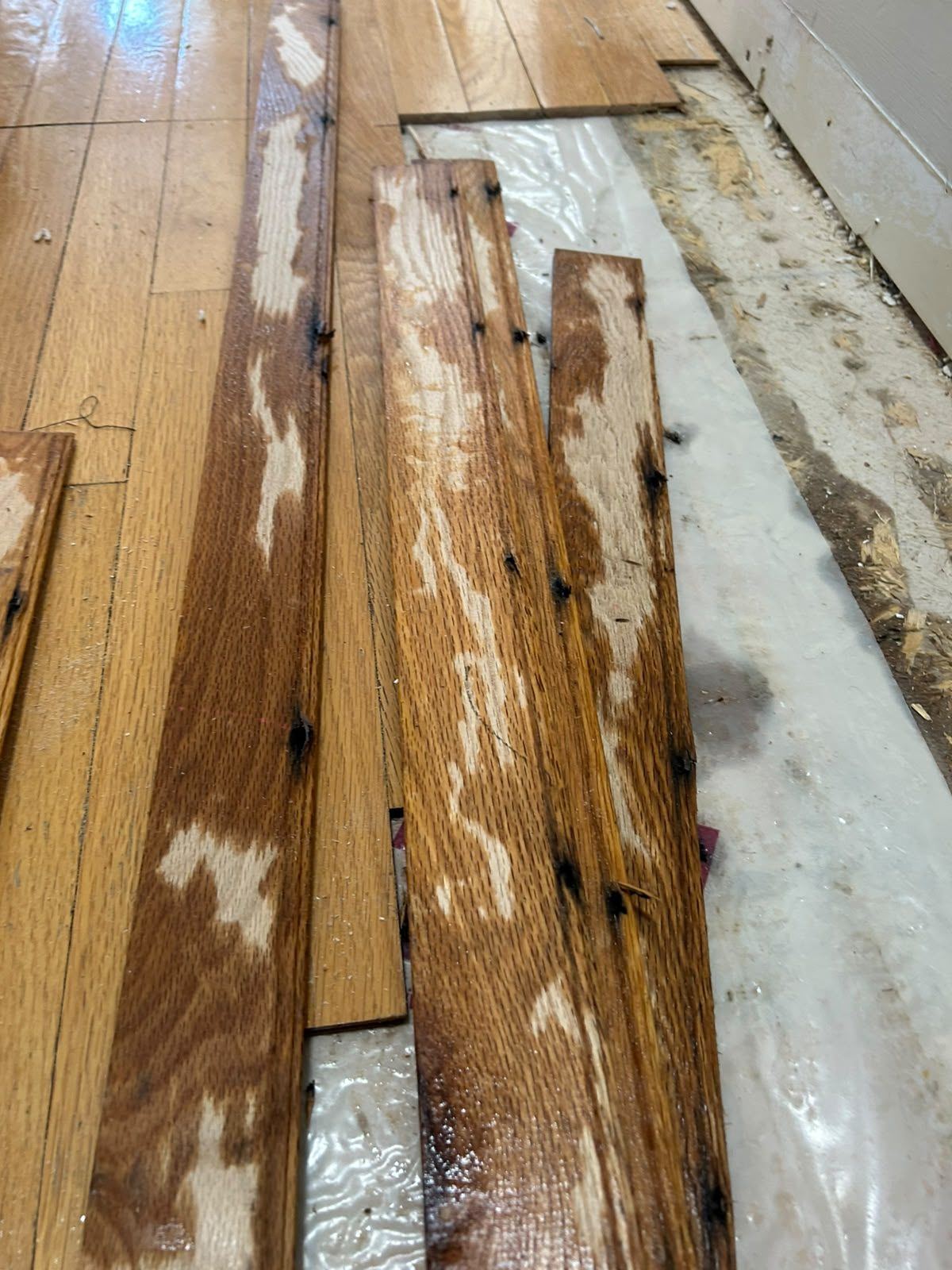 Water-damaged hardwood flooring being removed